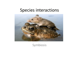 Species interactions - Learning on the Loop