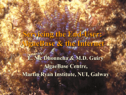 Cataloguing the Algae of Ireland Past, Present and Future