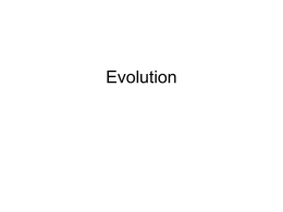 Adaptive evolution