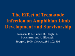 The Effect of Trematode Infection on Amphibian Limb