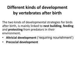 Different kinds of development by birds after birth