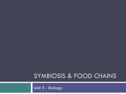 Symbiosis & Food Chains
