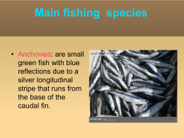 Main species