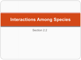 Interactions Among Species