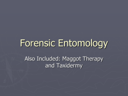 Forensic Entomology - Madison County School District