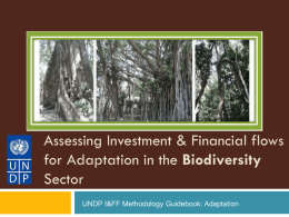 Key steps in adaptation assessment for LULUCF sector
