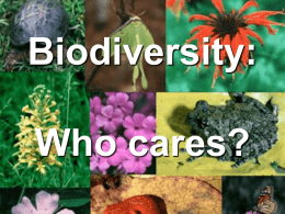 Biodiversity - Zion Central Middle School