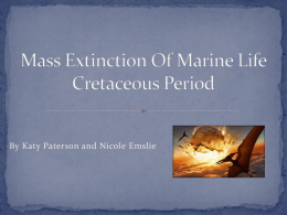 Mass Extinction Of Marine Life Cretaceous Period