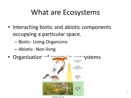 Abiotic Conditions of an Ecosystem