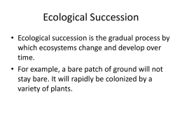Ecological Succession - Hatboro