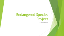 Endangered Animal Project
