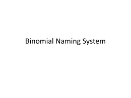 Binomial Naming System