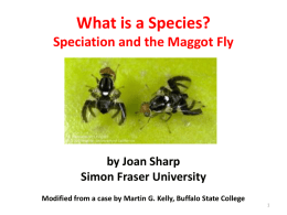 What is a species? Lecture by Joan Sharp Simon Fraser University