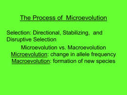 The Process of Microevolution