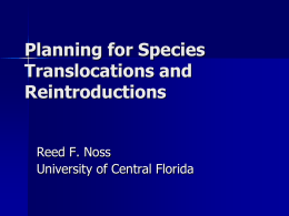 Planning for Species Reintroductions (with some examples for large