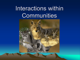 Interactions within Communities