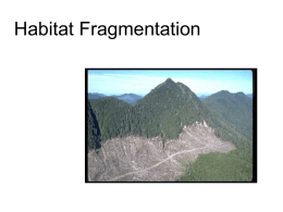 Habitat Fragmentation