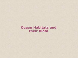 CHAPTER 13 OCEAN HABITATS AND THEIR BIOTA