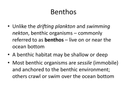 Benthos – Chapter 14