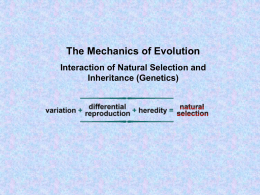 The Mechanics of Natural Selection