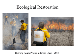 What do we mean when we talk about ecological restoration?