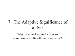 7. The Evolution of Sex - NAU jan.ucc.nau.edu web server