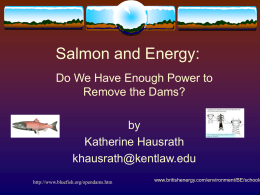 Salmon and Energy