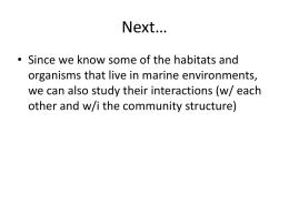 Marine Ecology Lecture, lecture 4