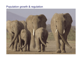 Population growth & regulation