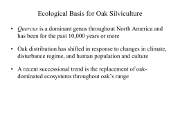 Lectures: Ecological Basis for Oak Silviculture