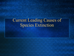 112903_Causes_of_Spp_Extinction