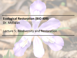 Biodiversity and Restoration