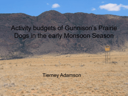Habitat use and activity budgets on Gunnison`s
