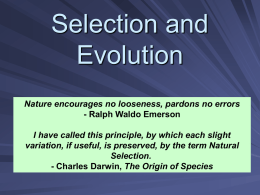 Selection and Evolution