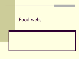 Food webs - mrknyvett