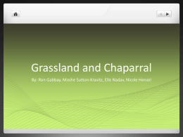 Grassland and Chaparral