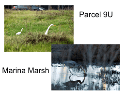 Item 18a MarciaHanscom-WetlandDefenseFund - CAL