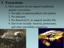 Ecosystems of Aquifers and Springs