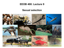 What is sexual selection?