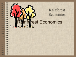 Rainforest Economics - Pace University Webspace