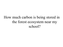 How much total carbon is stored in the trees at your schoolyard?