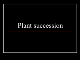 Plant Succession Slide