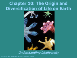 The Origin and Diversification of Life on Earth