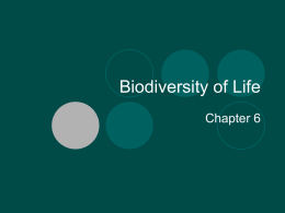 Biodiversity of Life
