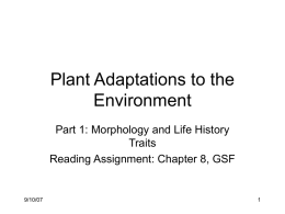 Adaptations to life on land