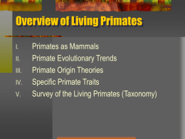 Chapter 5 Overview of Living Primates