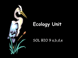 Basic Ecology Notes