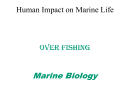 5.1-MB-HUMANIMPACT-Overfishing