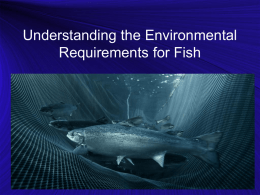 Understanding the Environmental Requirements for Fish