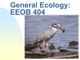 General Ecology: EEOB 404